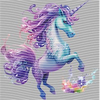 Rainbow Horse-RH 424
